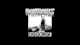 AGATHOCLES / DISGORGE (Belgium) - Split 7\