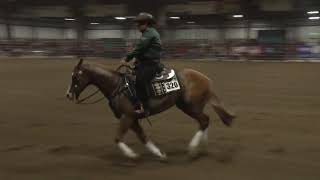 210410 Open Derby Shawn Flarida on PS Whizzen Colonel