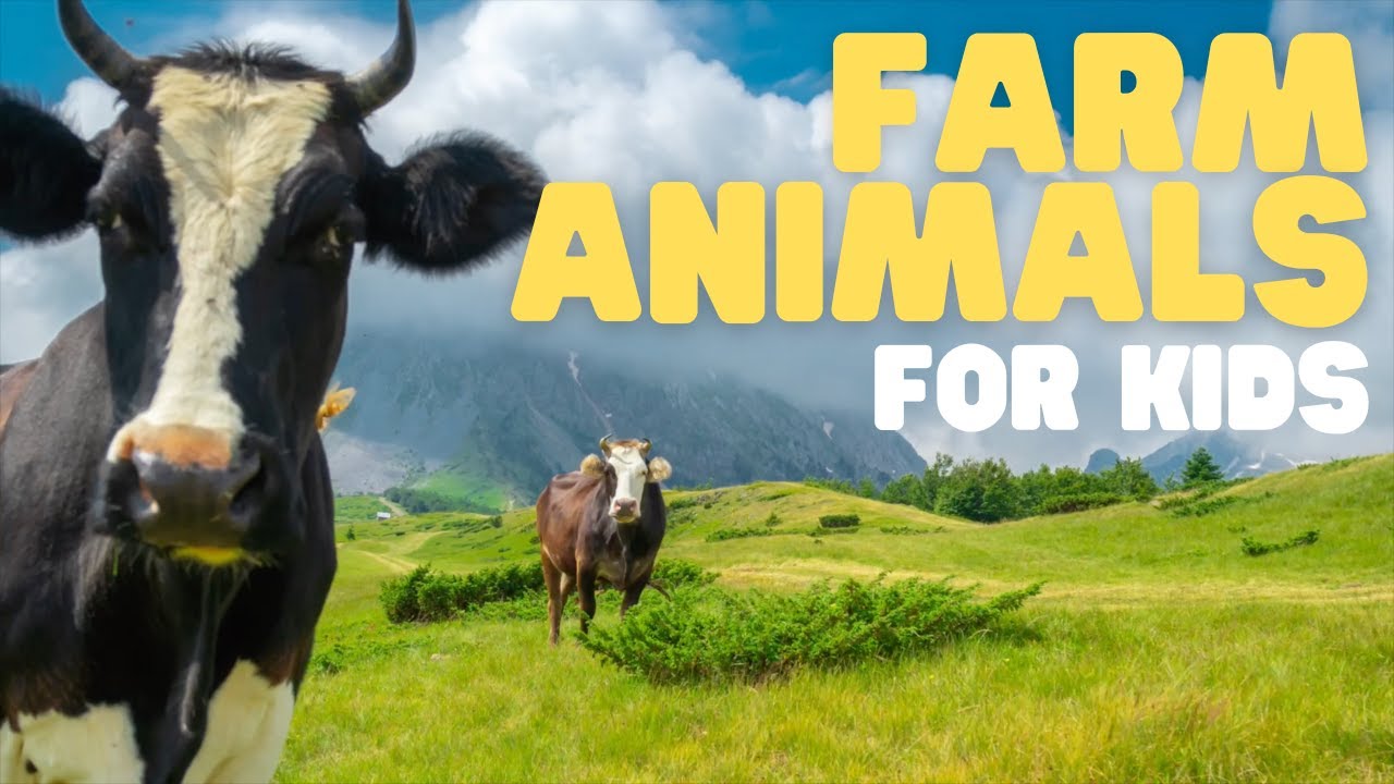 Farm Animals For Kids Learn All About These Fun Animals