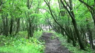 山中湖パノラマ台から3山登山２明神山から切通峠へ＠山梨県山中湖村