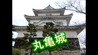 日本一の石垣の城、丸亀城に行ってみた。