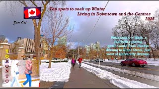 Toronto Downtown St. George St -  U of T (After Heavy Snowfall) Feb. 13, 2025 — Philosopher's Walk