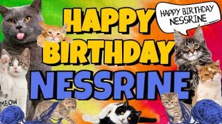 Happy Birthday Nessrine! Crazy Cats Say Happy Birthday Nessrine (Very Funny)