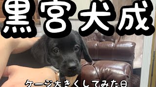 黒宮犬成〜ケージ大きくしてみた日〜