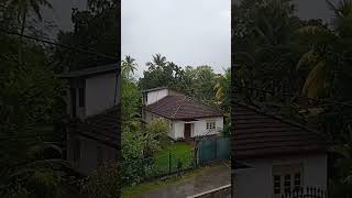 අද දවසම වැස්සේ කාටද 🌧️🌧️🌧️