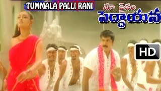 Maa Daivam Peddayana Movies Songs -  Tummala palli rani | Sharath Kumar | Nayanatara | V9 Videos