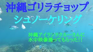 【沖縄ゴリラチョップシュノーケリング】【沖縄 ゴリラチョップ 水中映像】【沖縄アイランドクルー】