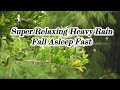 1 Hour of Rain Sound for Sleeping, Relaxing, Insomnia