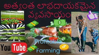 అత్యంత లాభదాయకమైన వ్యవసాయ వ్యాపార రంగాలు! Top 15 Most Profitable Farming in India