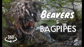 Beavers and Bagpipes 360°