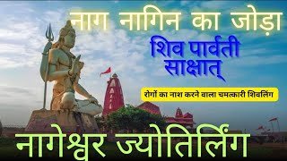 Nageshwar Jyotirlinga Gujrat |नागेश्वर ज्योतिर्लिंग संपूर्ण जानकारी | 12 ज्योतिर्लिंग🙏🌹