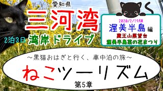 【猫と旅行in三河湾】渥美半島編、蔵王山展望台、渥美半島菜の花まつり【湾岸ドライブ】