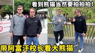 带阿富汗校长前往四川看中国大熊猫，实在太可爱校长甚至想去抱一下它，手机更是没收起来过。【藏锋Kevin】