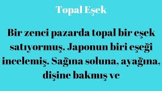 TOPAL EŞEK (Komik Fıkra)