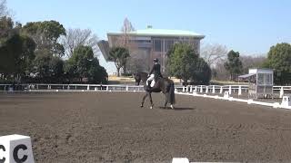 第63三獣医大学馬術大会　第一競技　学生賞典馬場馬術競技　3年　古野　博人　桜陽