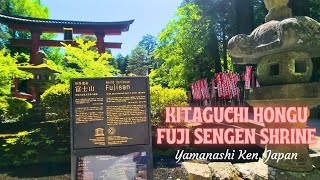 Kitaguchi Hongu Fuji Sengen Shrine WALK | Yamanashi Ken, Japan 🇯🇵♥️