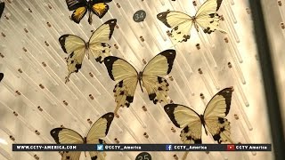 Shanghai Natural History Museum now open to public