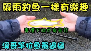 下雨天躲雨溪釣/去青潭邊躲雨邊釣魚/下游也有苦花來作伴