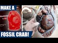 Fossil replica: How to make your very own high-quality fossil crab (3D printing, 3D scanning)