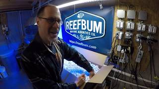 LIVE: Unboxing GHL Profilux 4 Aquarium Controller