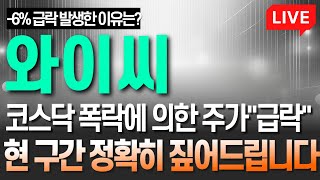 [와이씨 주가전망] 코스닥 폭락에 의한 주가 \