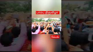 என்ன பாம்பு திருவிழா 😱 || Snake fastival in India