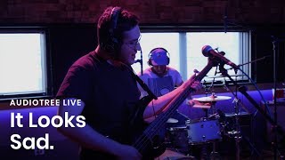 It Looks Sad. - Creature | Audiotree Live