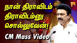 நான் திராவிடம் திராவிடம்னு சொல்லுவேன்! | CM Mass Video | #mkstalin #dravidian