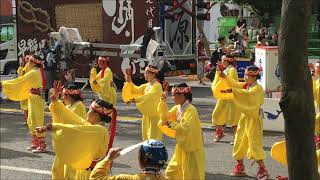 2018高知よさこい祭り-上町-8/12全国大会-追手筋競演場