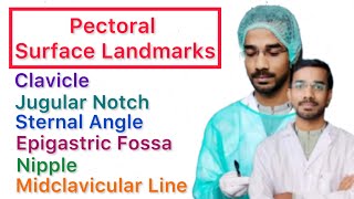 Pectoral Surface Landmark | Clavicle | Jugular Notch | Sternal Angle | Epigastric Fossa | Nipple