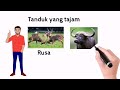 Kemandirian Spesies Haiwan | SAINS Tahun 5 KSSR Semakan