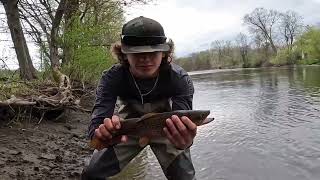 Trout Fishing the Battenkill - Beautiful Browns