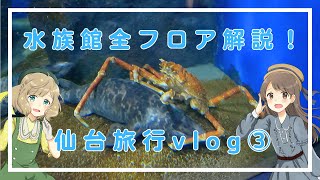 【女子旅vlog】ドーミーイン豪華朝食と仙台うみの杜水族館を解説！お友だちと仙台旅行③with【りんの隠れ家】