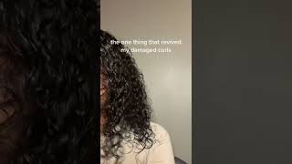 How I got my curls back from heat damage #curlyhair