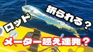 爆釣 2馬力 ミニボート メーターオーバー？ シイラ キャスティング　10月1日　越前 ボートエース