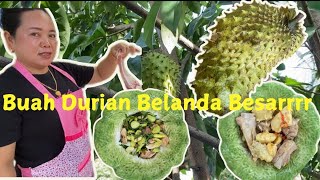 Masak Iga Babi campur Taro || Panen Buah Kasai dengan Buah Durian Belanda