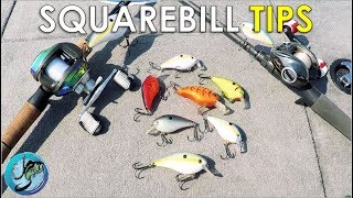 Squarebill Crankbaits: Everything You Need To Know | Tackle Tuesday