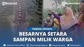 Viral Kemunculan Ikan Misterius Di Ranu Pakis Lumajang, Ukurannya Hampir Setara Sampan Milik Warga