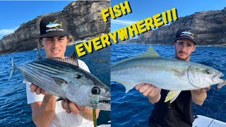 Kingfish and Bonito EVERYWHERE!!! Sydney Fishing Dream.