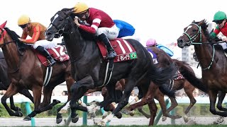 【WASJ】ARC開催記念2024ワールドオールスタージョッキーズ第4戦実況[優勝馬　エゾダイモン　J.モレイラ騎手]