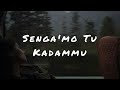 Lagu galau Toraja: Senga'mo Tu Kadammu (Githa Ambadatu) || Lirik dan terjemahan