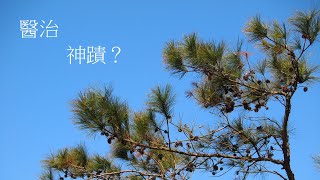 靈修:醫治-神蹟? 20210206