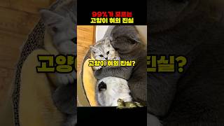 당신이 모르는 고양이 혀의 진실?