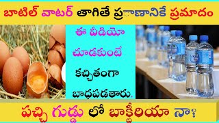 || తెలుసుకోవలసిన విషయాలు, మనం డైలీ చేస్తున్న|mistakes| 😯🤔||Amazing facts telugu||