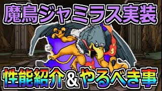 【DQMSL】魔鳥ジャミラス実装！更新後のやるべき事紹介！！ガチャ20連でまさかの結果に！？