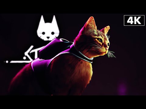 ИГРОФИЛЬМ STRAY Прохождение Без Комментариев [4K PS5] Стрэй Геймплей на Русском