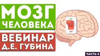 Вебинар Д.Е. Губина «Мозг человека. Часть 4. Жизнь без головной боли»