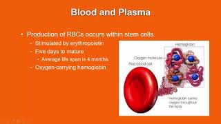 Hematologic Emergencies Part 1