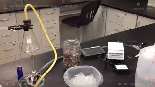 Lab 7 Salinity
