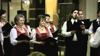 Schwaben Ball Mohács 2010 - Die Singenden Quelle Chor